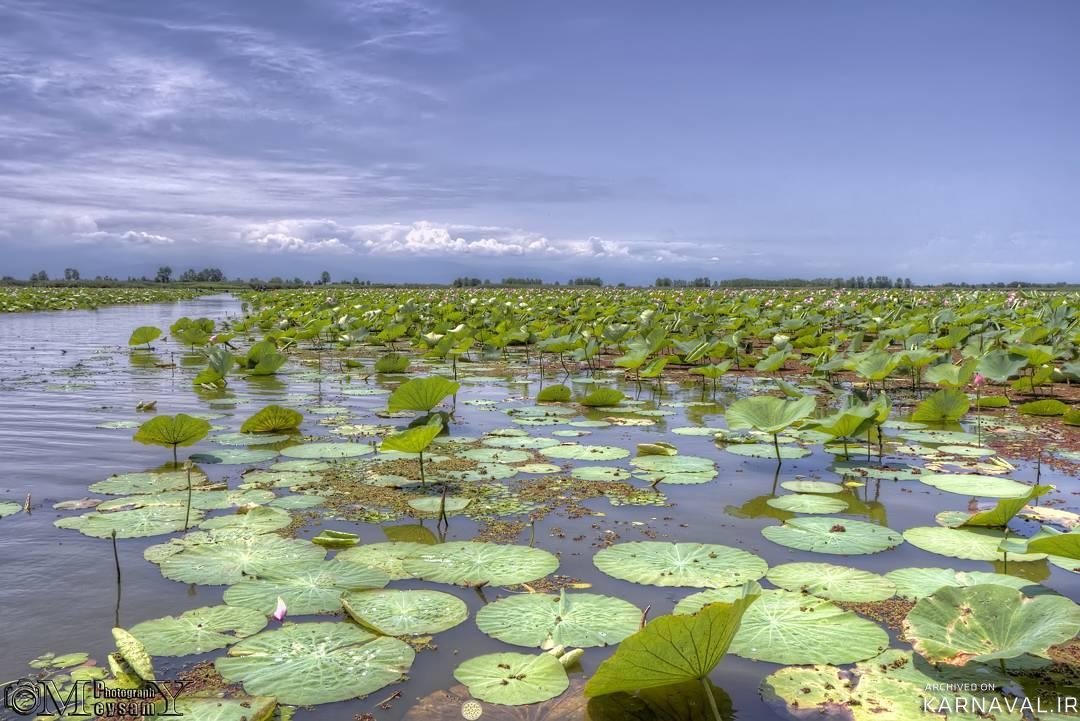 دستور ویژه رئیس جمهور برای احیای تالاب انزلی