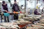 صید بیش از ۲ هزار تن ماهی استخوانی از دریای خزر در گیلان
