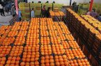 صادرات بیش از ۳ هزار تن نارنگی مازندران به روسیه