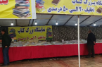 نمایشگاه کتاب در تالش