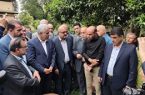 برداشت برگ‌های زمردین چای در لنگرود