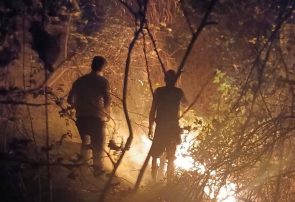 مهار آتش سوزی ۲ هکتار از جنگلهای گیلان