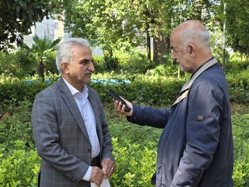 رئیس سازمان چای کشور :ارزش کل برگ سبز چای تولیدی کشور بالغ بر یک هزار و ۸۰۰ میلیارد تومان برآورد می‌شود